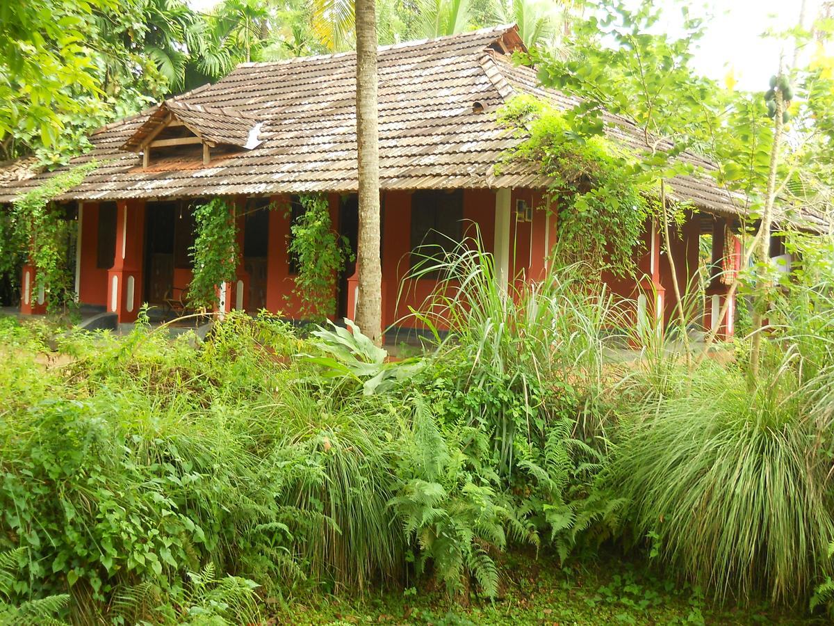 Big Banana Island Retreat Hotel North Paravur Exterior photo